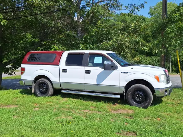 2010 ford f150
