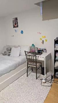 One room in basement for rent - Photo 2