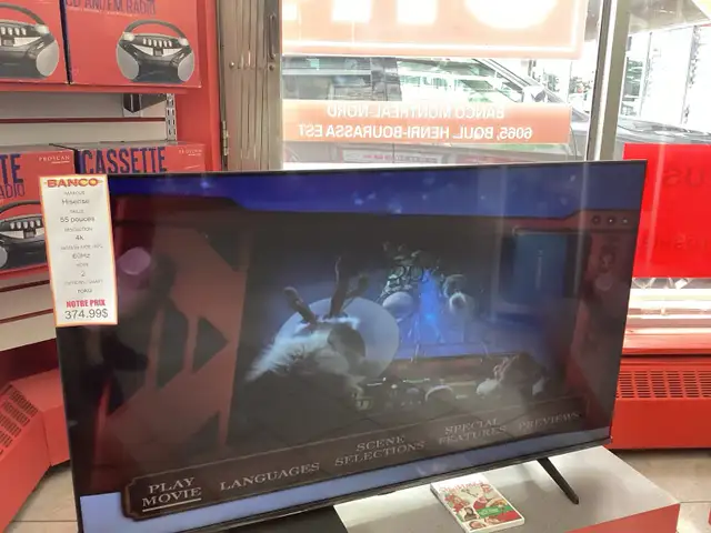 Télévision Hisense 55 pouces
