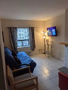FULLY FURNISHED ONE BEDROOM UNIT - Photo 2