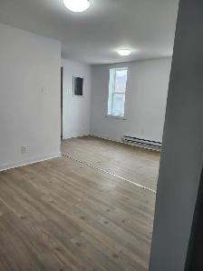 328 Main St #2 - 1BR North, Newly Renovated - Photo 3