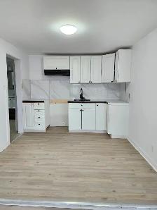 328 Main St #2 - 1BR North, Newly Renovated - Photo 7