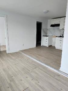 328 Main St #2 - 1BR North, Newly Renovated - Photo 8
