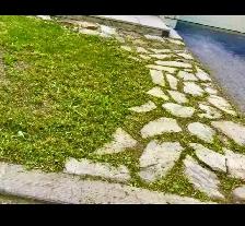 SPRING BACKYARD CLEAN-UP SPECIAL! - Photo 5