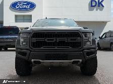 2020 Ford F-150 Raptor - Photo 2