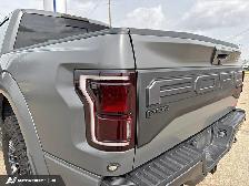 2020 Ford F-150 Raptor - Photo 10