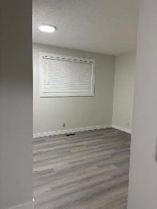 Newly Renovated Family Home for Rent – Abbeydale, NE Calgary - Photo 3