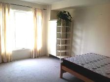 Big York Village Room for rent York University Available Sept