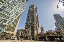 1 1 condo is at Yong & Front , available on Sep 1