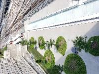 1 1 condo is at Yong & Front , available on Sep 1 - Photo 4