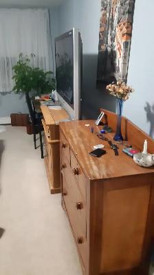 Fabulous Roommate/ Large Room to Rent/ Apt to Share! - Photo 2