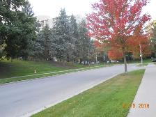 Fabulous Roommate/ Large Room to Rent/ Apt to Share! - Photo 10