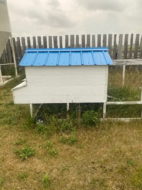 Chicken Tractor