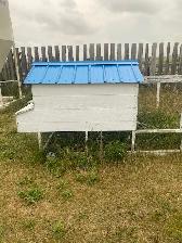 Chicken Tractor
