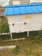 Chicken Tractor - Photo 4