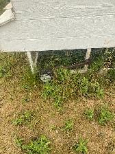 Chicken Tractor - Photo 5