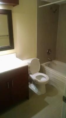 DT one bedroom apartment   den for rent - Photo 2