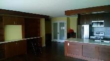 DT one bedroom apartment   den for rent - Photo 5