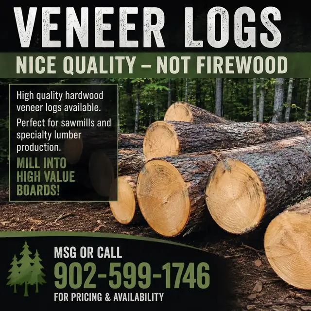 Veneer sawmill logs