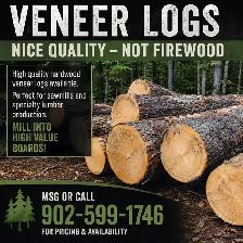 Veneer sawmill logs