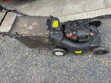FREE LAWN MOWER - Photo 3