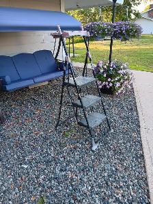 Step ladder