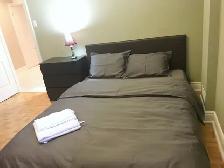 Near Finch Station Basement Room for rent -$800 - Photo 2