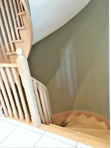 Near Finch Station Basement Room for rent -$800 - Photo 4