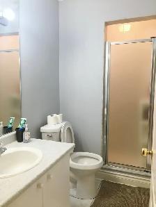 Near Finch Station Basement Room for rent -$800 - Photo 5