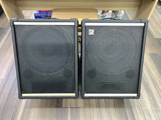 Yorkville YS-115 Wedge Passive Pair