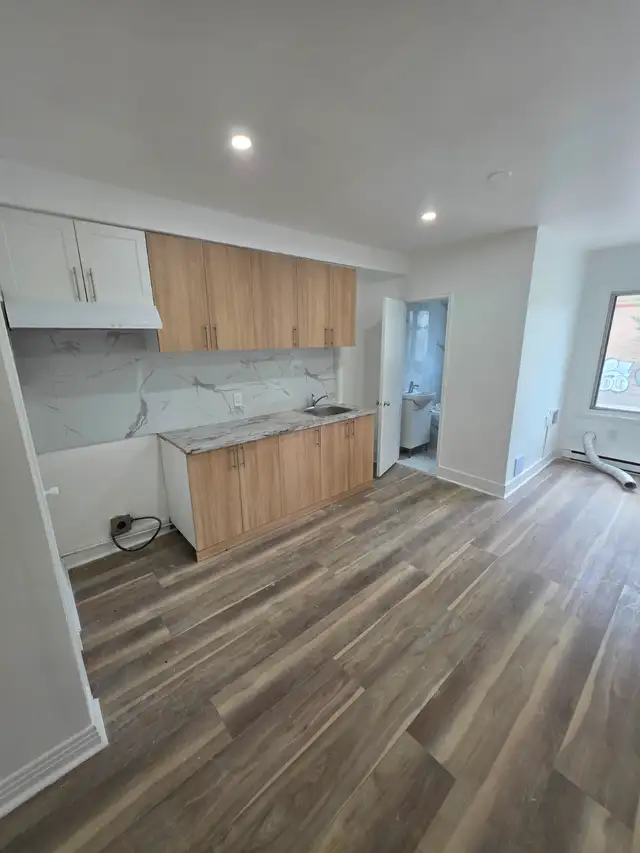 1 Bdrm Verdun- fully renovated