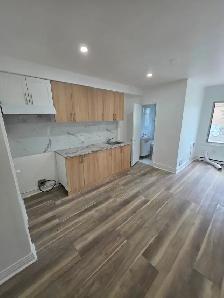 1 Bdrm Verdun- fully renovated