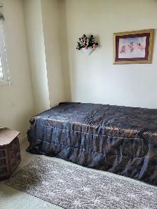 FURNISHED BRIGHT BEDROOM AVAILABLE FOR RENT-SQ1 - Photo 2