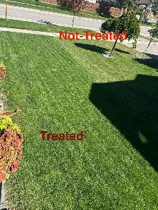 lawn spray