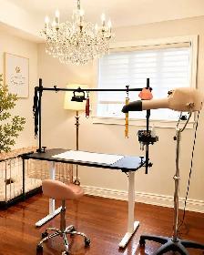 1:1 Private Dog Grooming in Bayview Village, Northyork - Photo 10