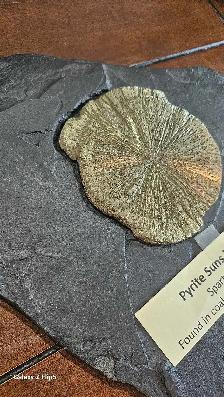 Pyrite Soleil (incrusté sur sa matrice de schiste d'origine) - Photo 5