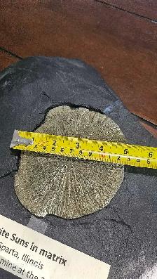 Pyrite Soleil (incrusté sur sa matrice de schiste d'origine) - Photo 8