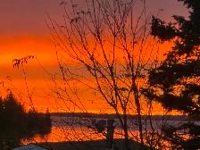 Four season mobile home with Lake views - Photo 2