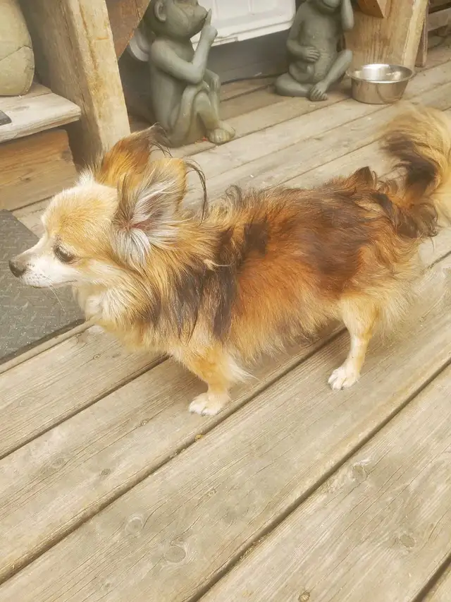 Found 4st. and 20ave. NW