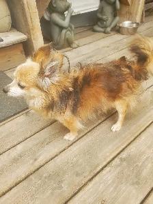 Found 4st. and 20ave. NW