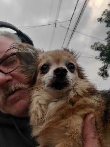 Found 4st. and 20ave. NW - Photo 2