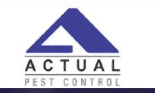 BEST PRICE EXTERMINATORS - 416-561-6550 – ACTUAL PEST CONTROL.