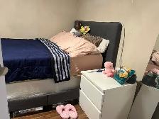 Ajax-2 bedroom, 1 bath walkout basement apartment - Photo 8