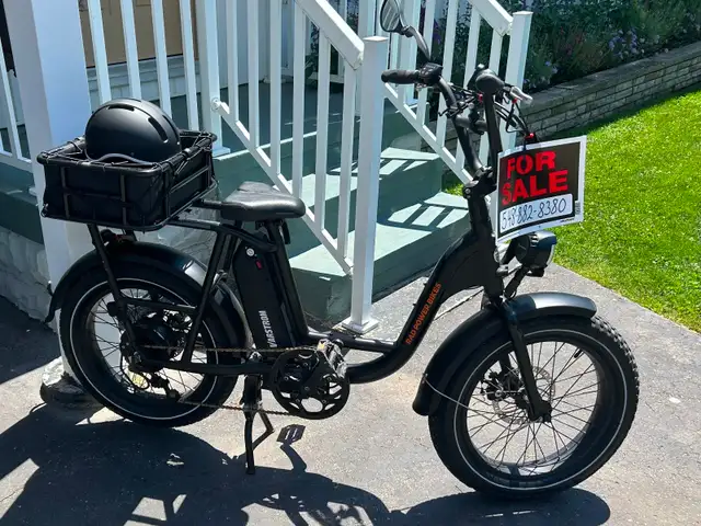 Rad Power Bikes E-Bikes