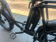 Rad Power Bikes E-Bikes - Photo 5