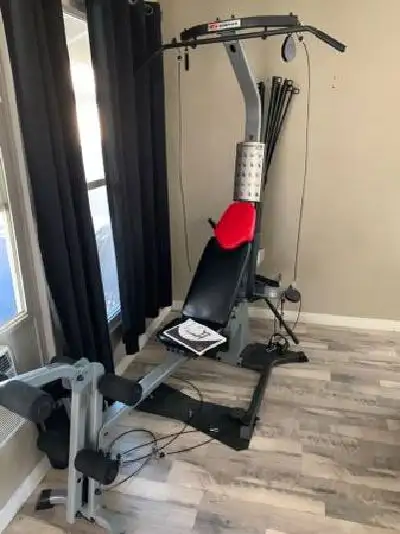 BowFleX BlaZe  Will 310 Pounds gym weights exercise