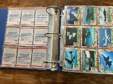 1991 DESERT STORM & FLYING HEROES Trading Cards Collection - Photo 2