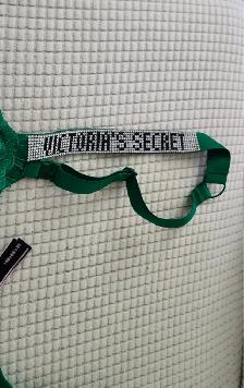 Brand NEW Victoria Secret Green Rhinestone bra 36DDD - Photo 3