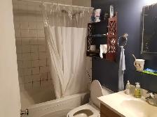 Bedroom close to Algonquin college available Sep 1 - Photo 5