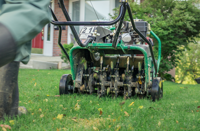 Aeration, Over Seeding And Fertilizer